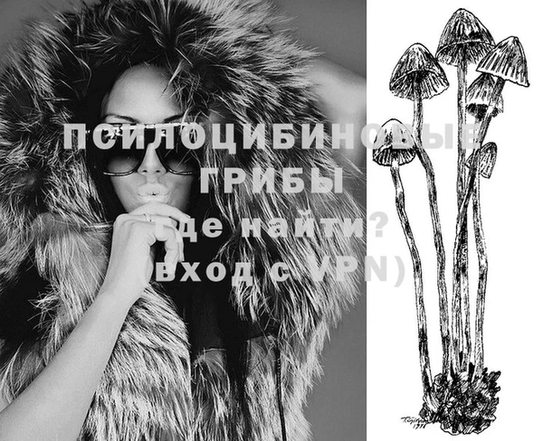скорость Абаза
