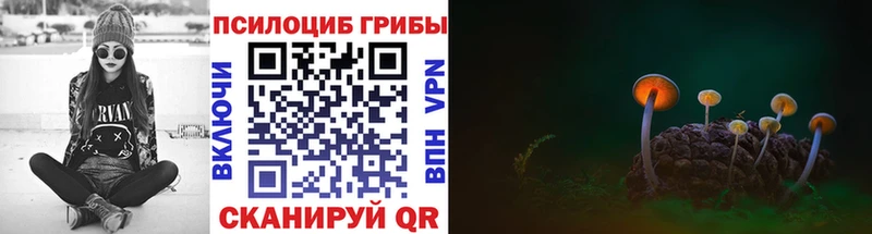 blacksprut ONION  Абинск  Псилоцибиновые грибы прущие грибы 